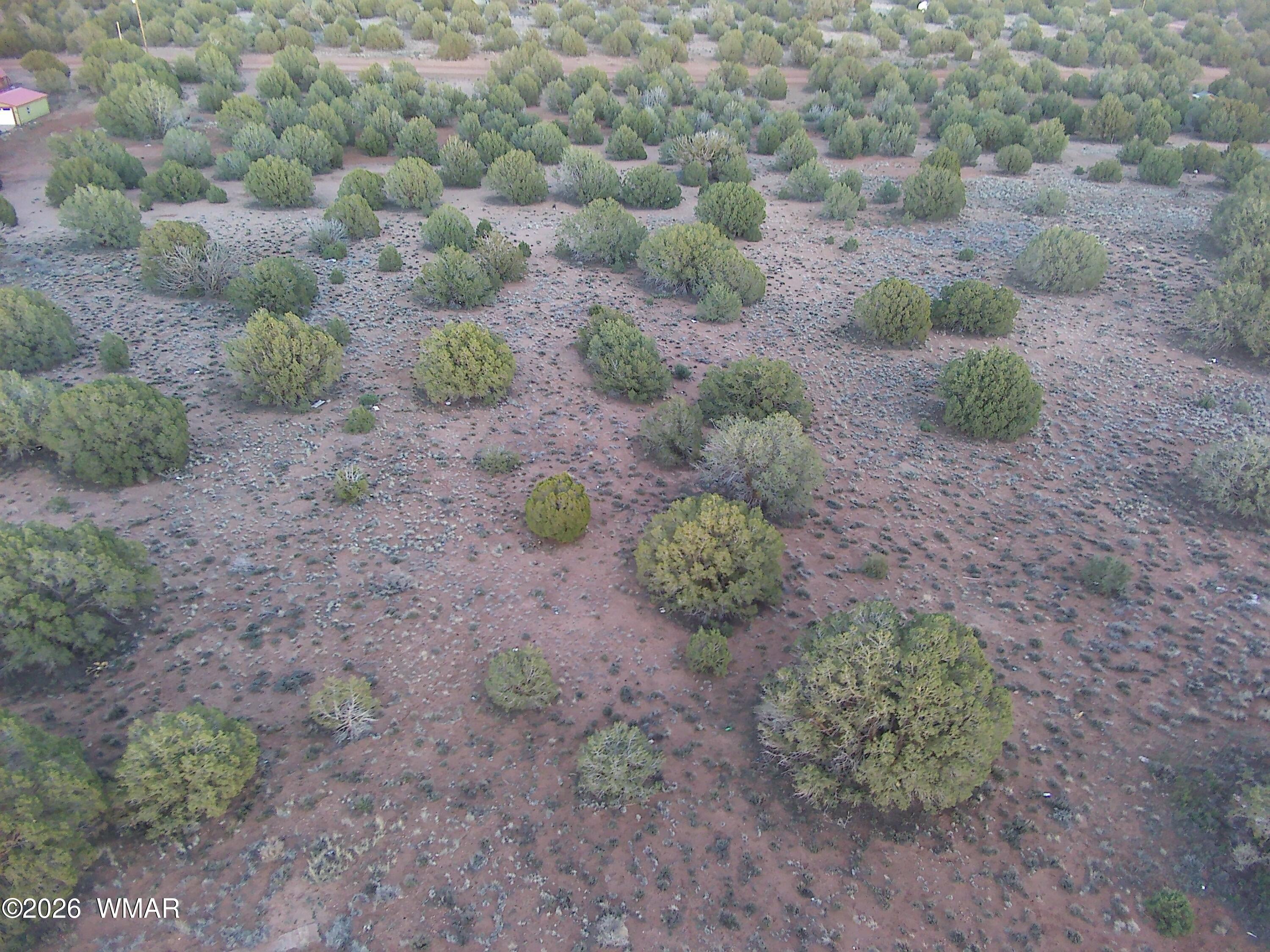 4427 Clydesdale Road Snowflake, AZ 85937 - Photo 3 of 16 a view of a dry yard with lots of trees