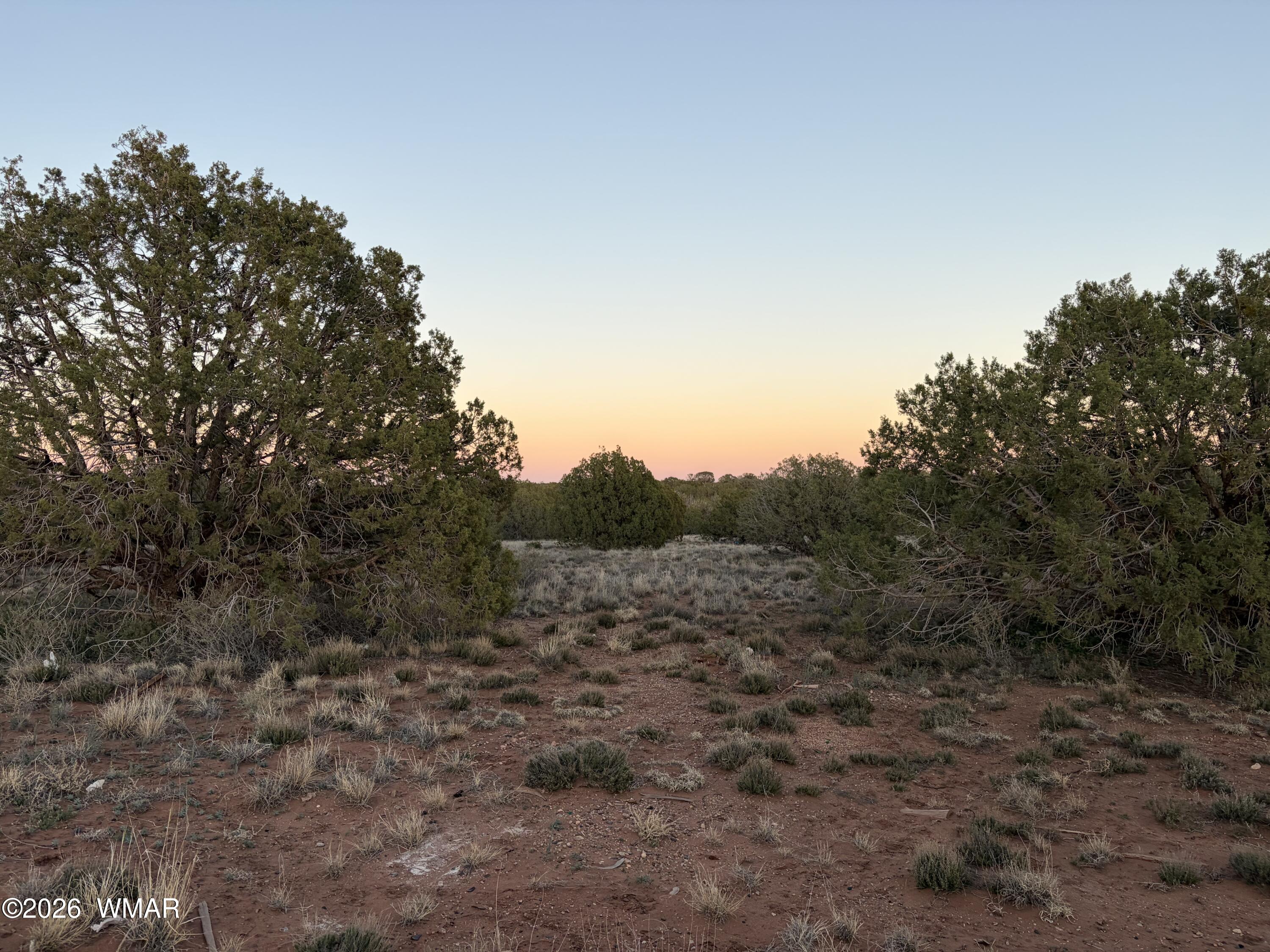4427 Clydesdale Road Snowflake, AZ 85937 - Photo 5 of 16 a view of a dry yard with trees in the background