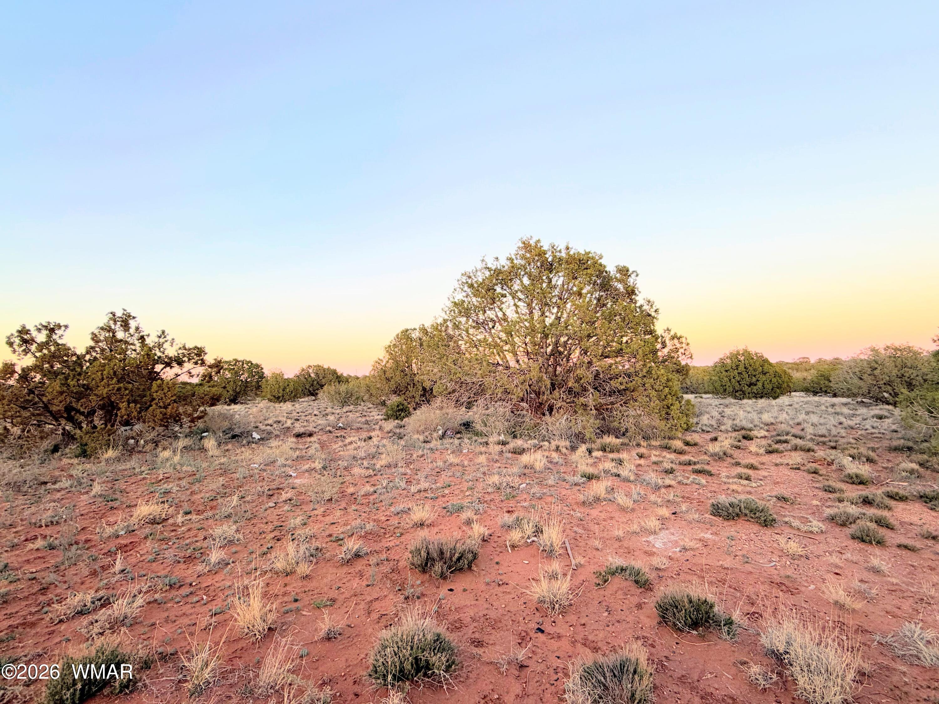 4427 Clydesdale Road Snowflake, AZ 85937 - Photo 6 of 16 a view of a dry yard with trees in the background