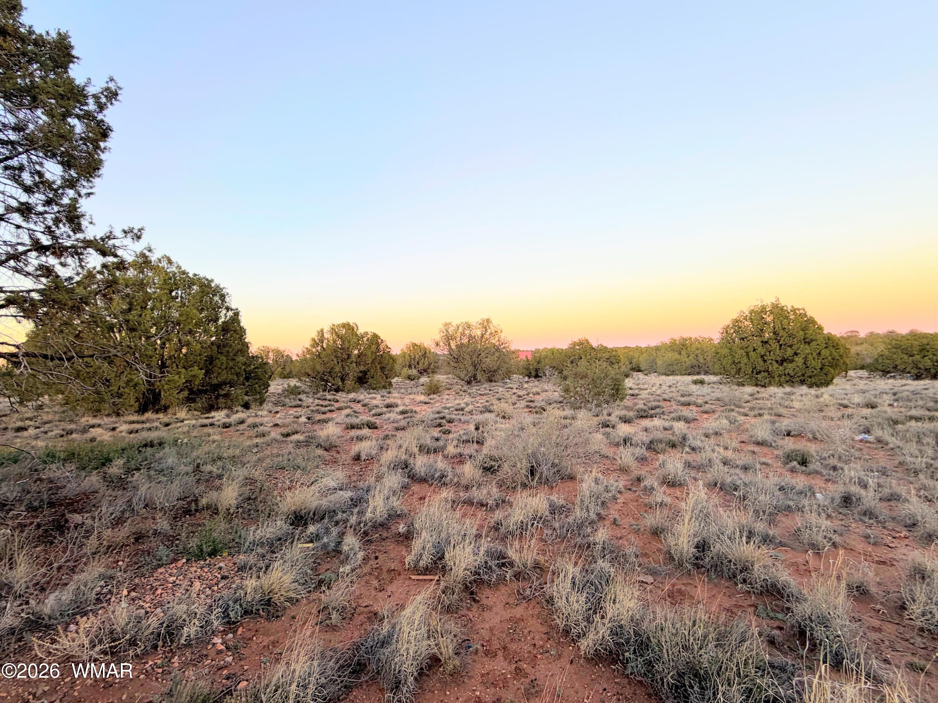 4427 Clydesdale Road Snowflake, AZ 85937 - Photo 8 of 16 a view of a dry yard with trees
