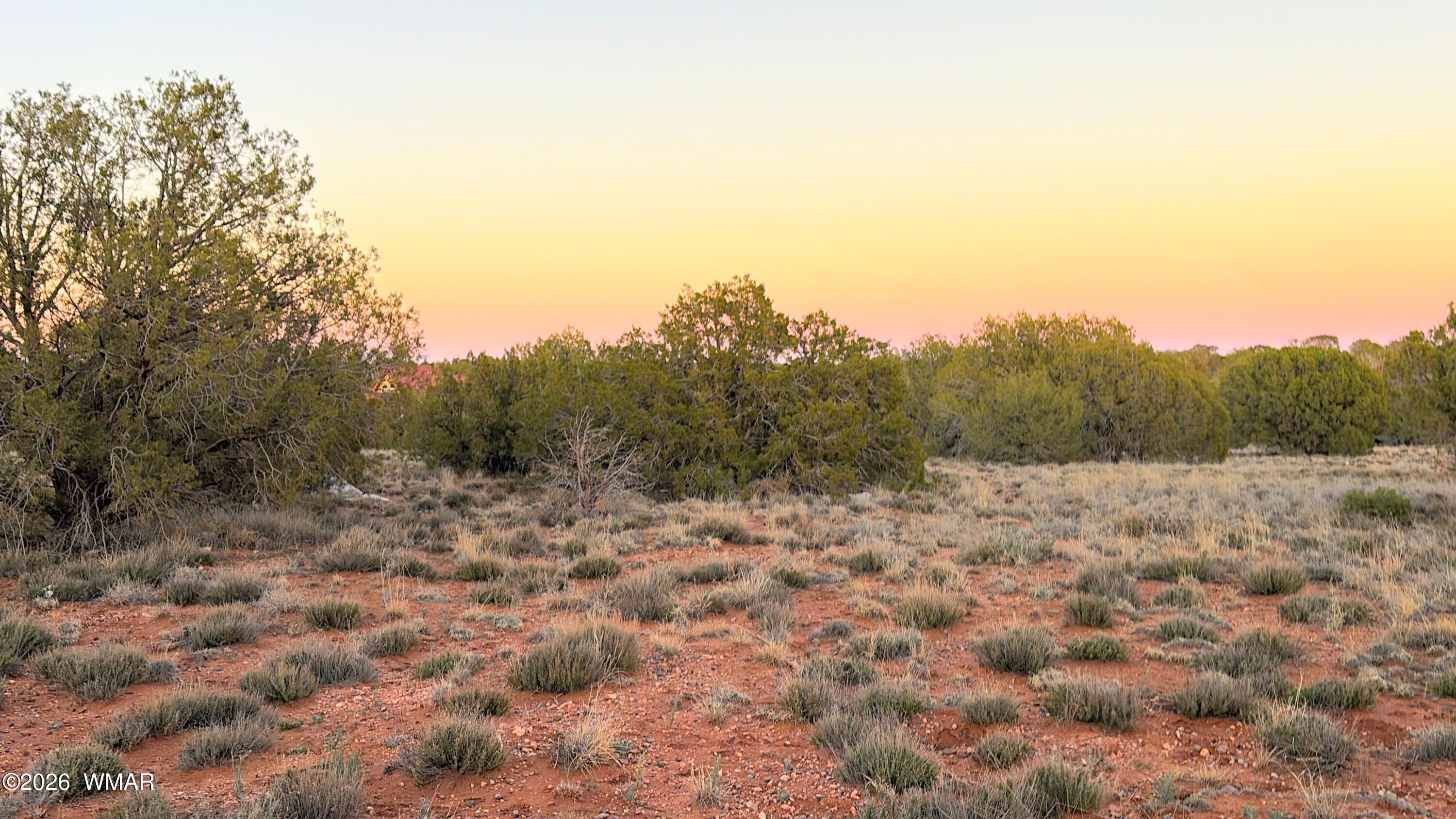 4427 Clydesdale Road Snowflake, AZ 85937 - Photo 10 of 16 a view of a dry yard with trees