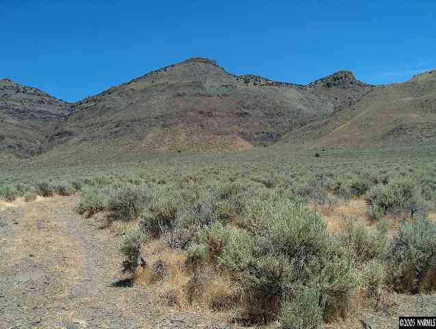1 Fish Springs Loop Reno, NV 89510 - Photo 4 of 6 Photo 4
