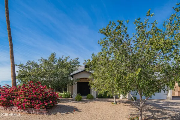 a front view of a house with a tree