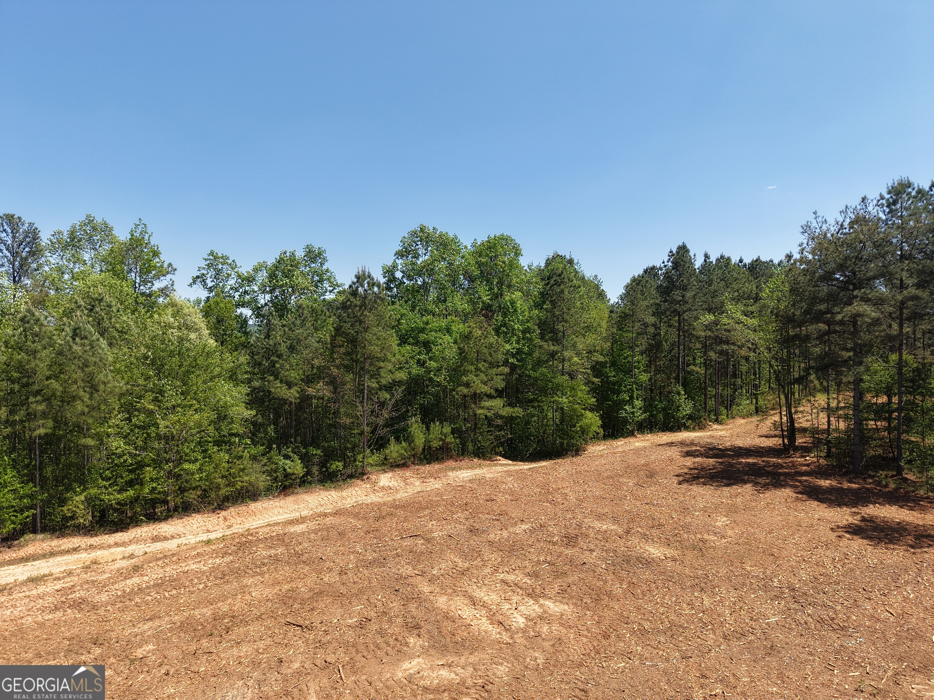 0 Ryo Mountain Road, Unit 9609 Fairmount, GA 30139 - Photo 13 of 87 Gallery Image 13