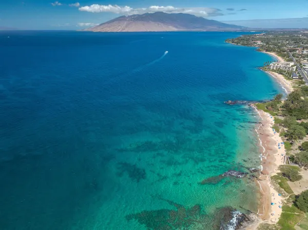 an aerial view of residential building and ocean