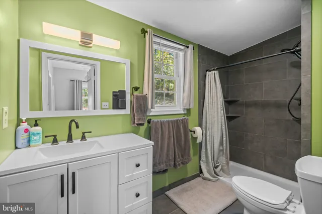 a bathroom with a sink a toilet and a mirror