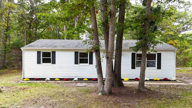 a view of a house with backyard and a tree