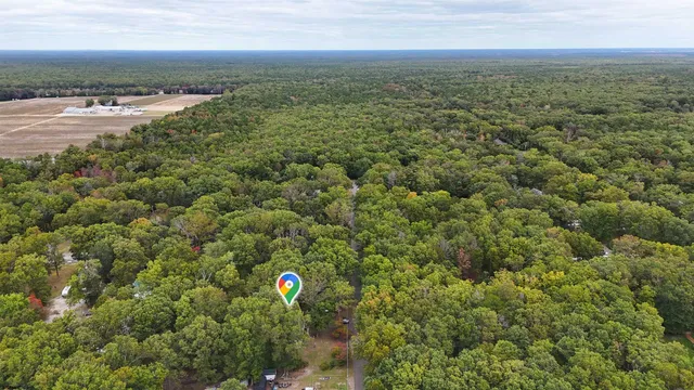 an aerial view of residential building and trees