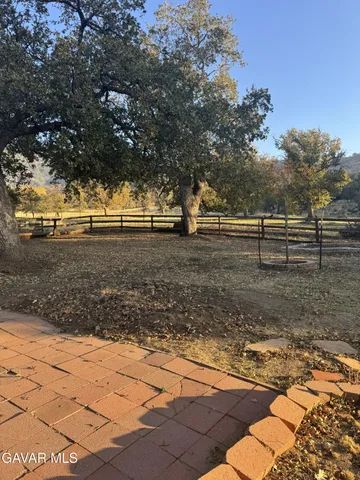a view of dirt yard with large trees