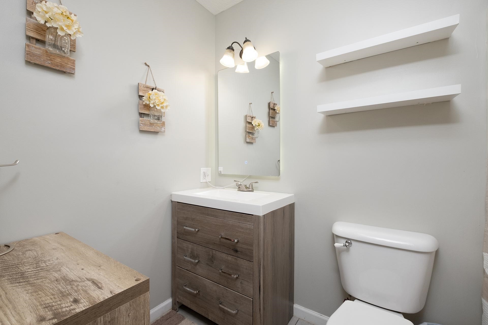 2425 Monroe Street Waynesboro, VA 22980 - Photo 31 of 42 a bathroom with a sink a toilet and vanity