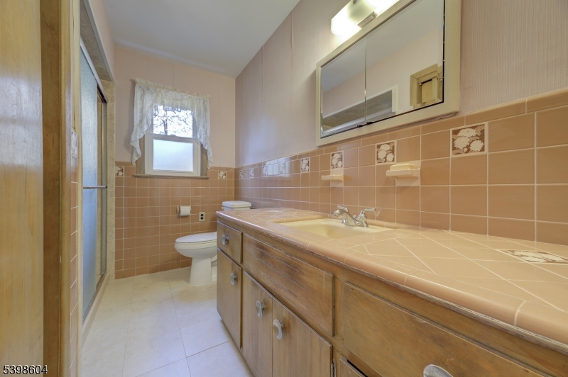 1621 Terrill Road Scotch Plains, NJ 07076 - Photo 22 of 48 a bathroom with a sink a toilet and shower