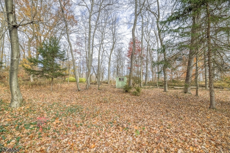 1621 Terrill Road Scotch Plains, NJ 07076 - Photo 31 of 48 a backyard of a house with lots of green space