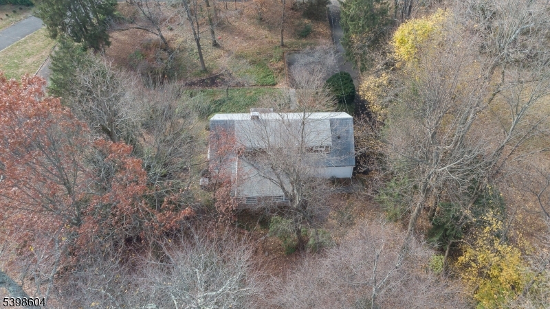 1621 Terrill Road Scotch Plains, NJ 07076 - Photo 37 of 48 a view of a dry yard with trees