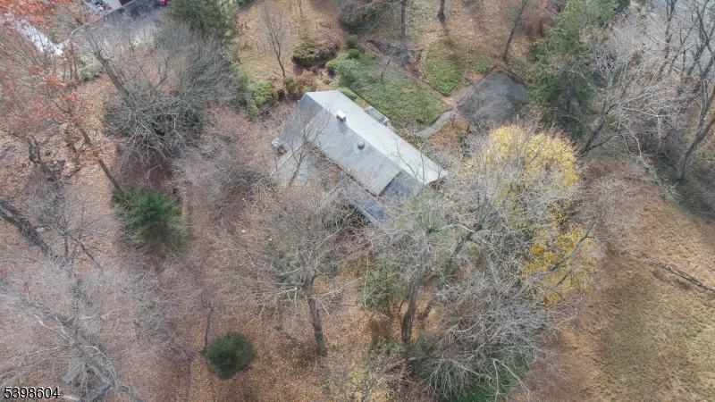 1621 Terrill Road Scotch Plains, NJ 07076 - Photo 38 of 48 a view of a dry yard with trees and stairs