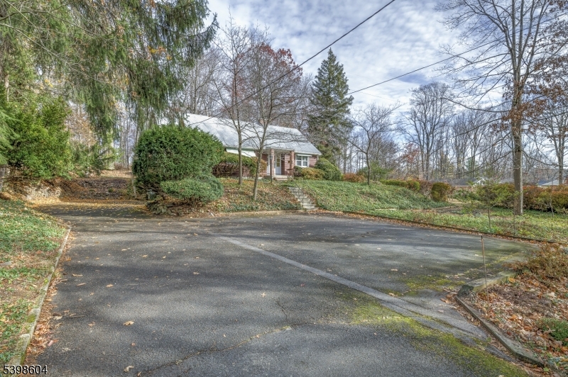 1621 Terrill Road Scotch Plains, NJ 07076 - Photo 4 of 48 a view of a yard with plants and trees