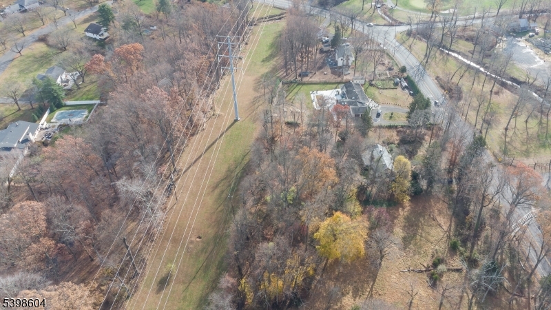 1621 Terrill Road Scotch Plains, NJ 07076 - Photo 43 of 48 a close up of a tree