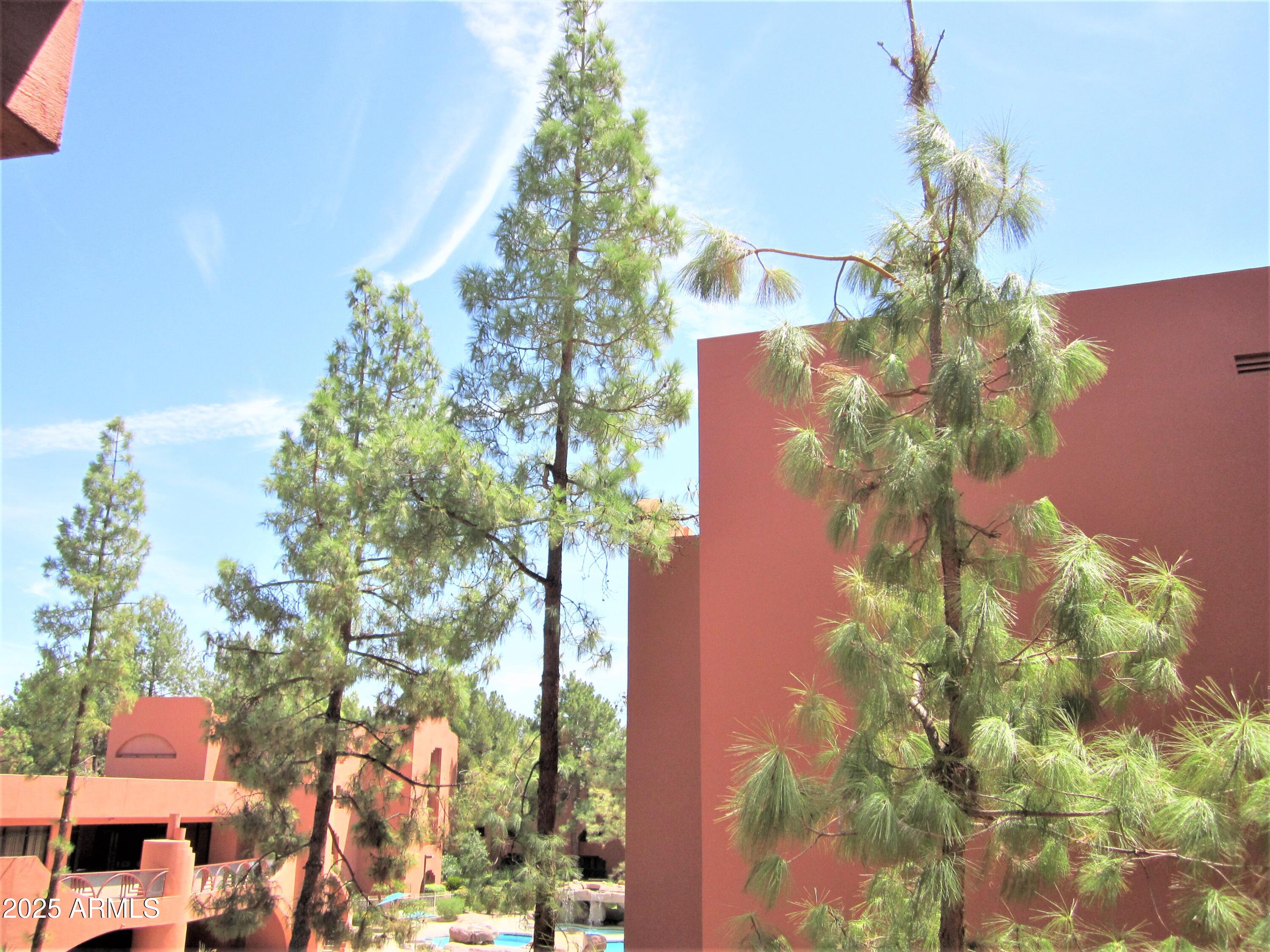 4303 East Cactus Road, Unit 310 Phoenix, AZ 85032 - Photo 15 of 27 a flower in a yard with flowers