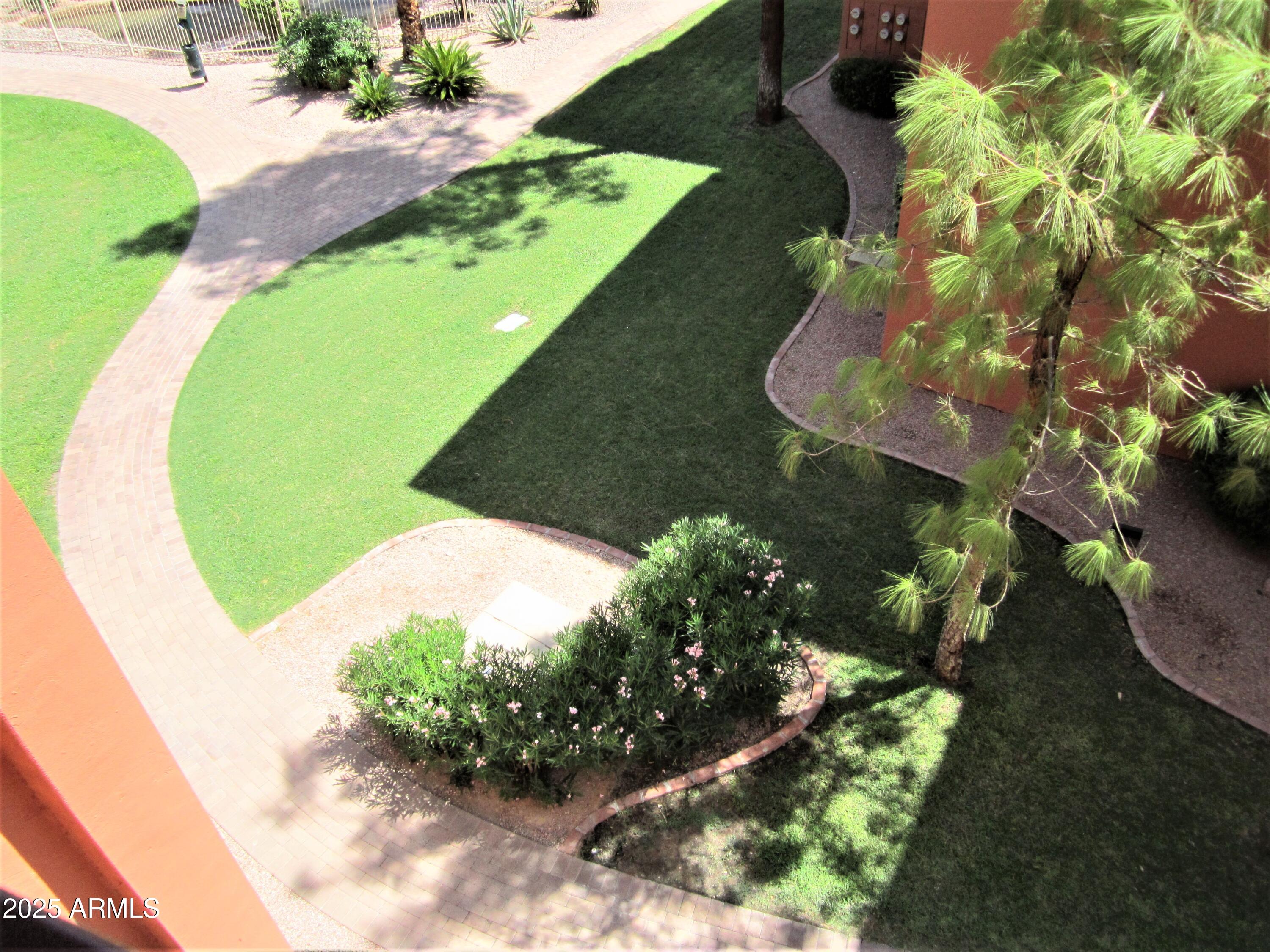 4303 East Cactus Road, Unit 310 Phoenix, AZ 85032 - Photo 16 of 27 a view of a plant in a garden