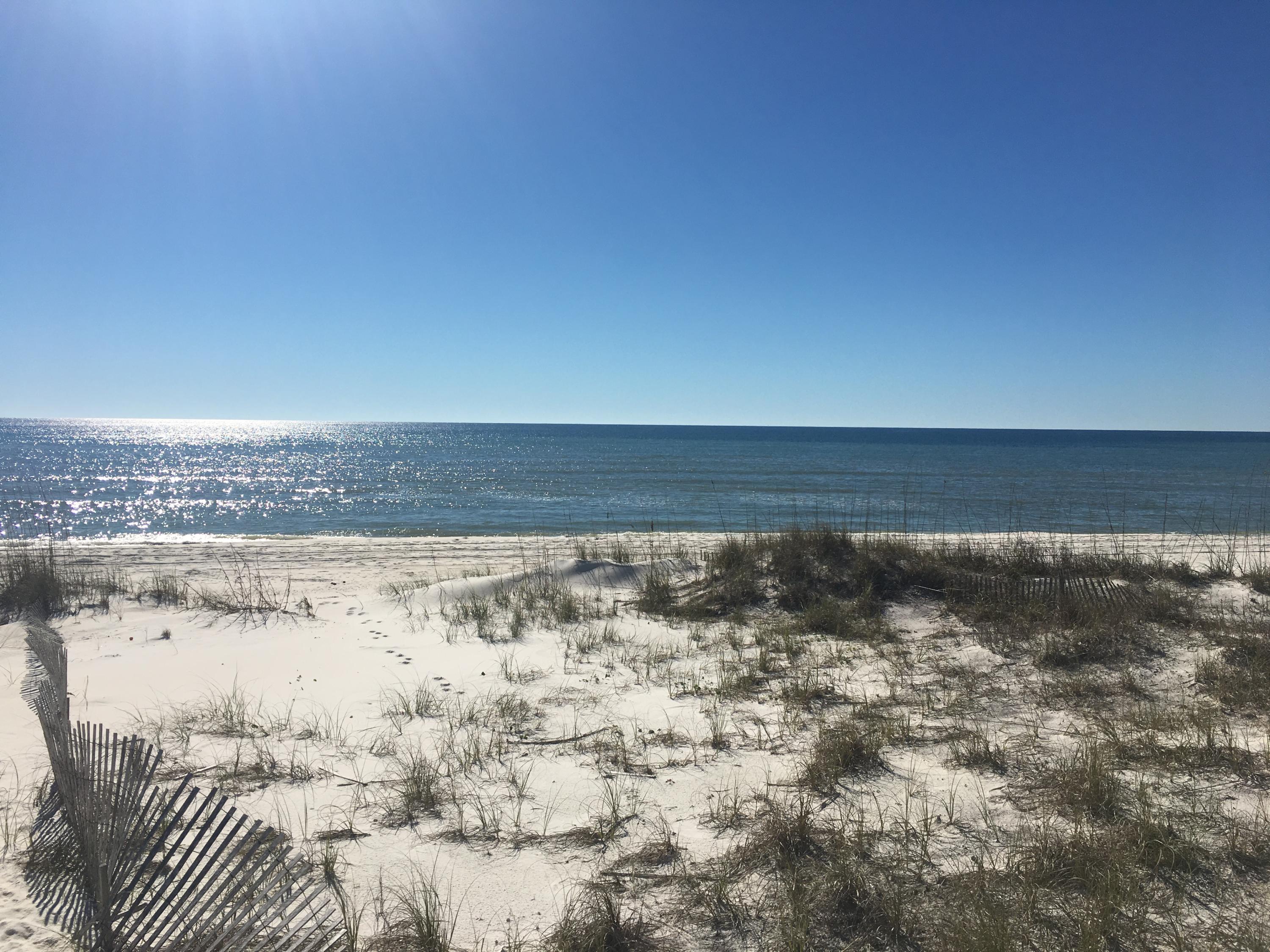 72 Walton Magnolia Ln Inlet Beach, Unit 2/C Inlet Beach, FL 32461 - Photo 11 of 32 Gulf Front in Inlet Beach