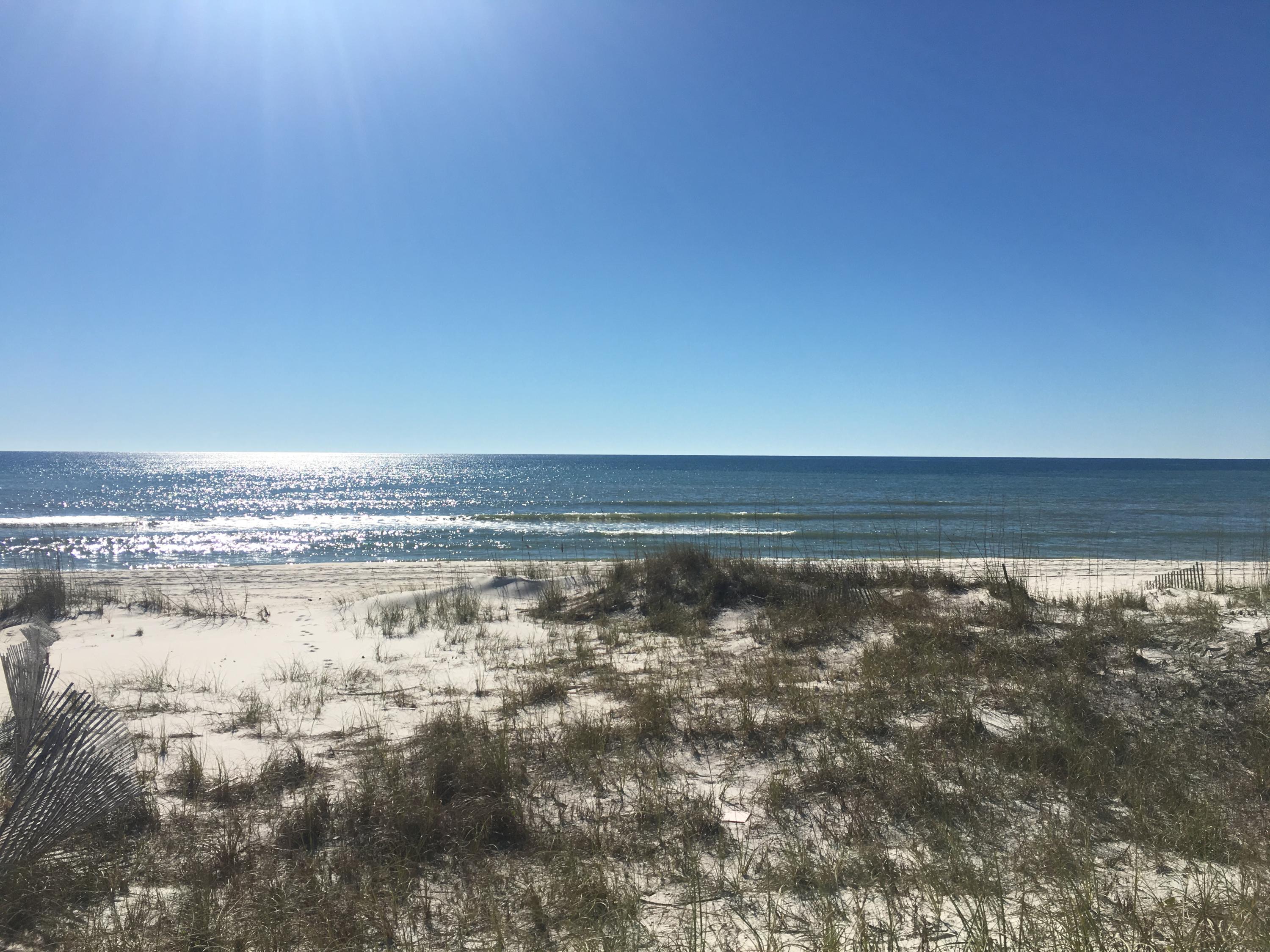72 Walton Magnolia Ln Inlet Beach, Unit 2/C Inlet Beach, FL 32461 - Photo 15 of 32 Gulf Front in Inlet Beach