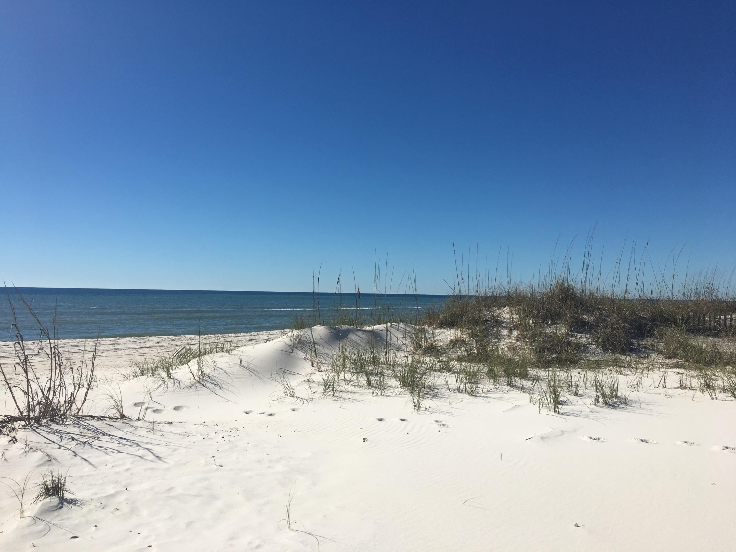 72 Walton Magnolia Ln Inlet Beach, Unit 2/C Inlet Beach, FL 32461 - Photo 25 of 32 Gulf Front in Inlet Beach