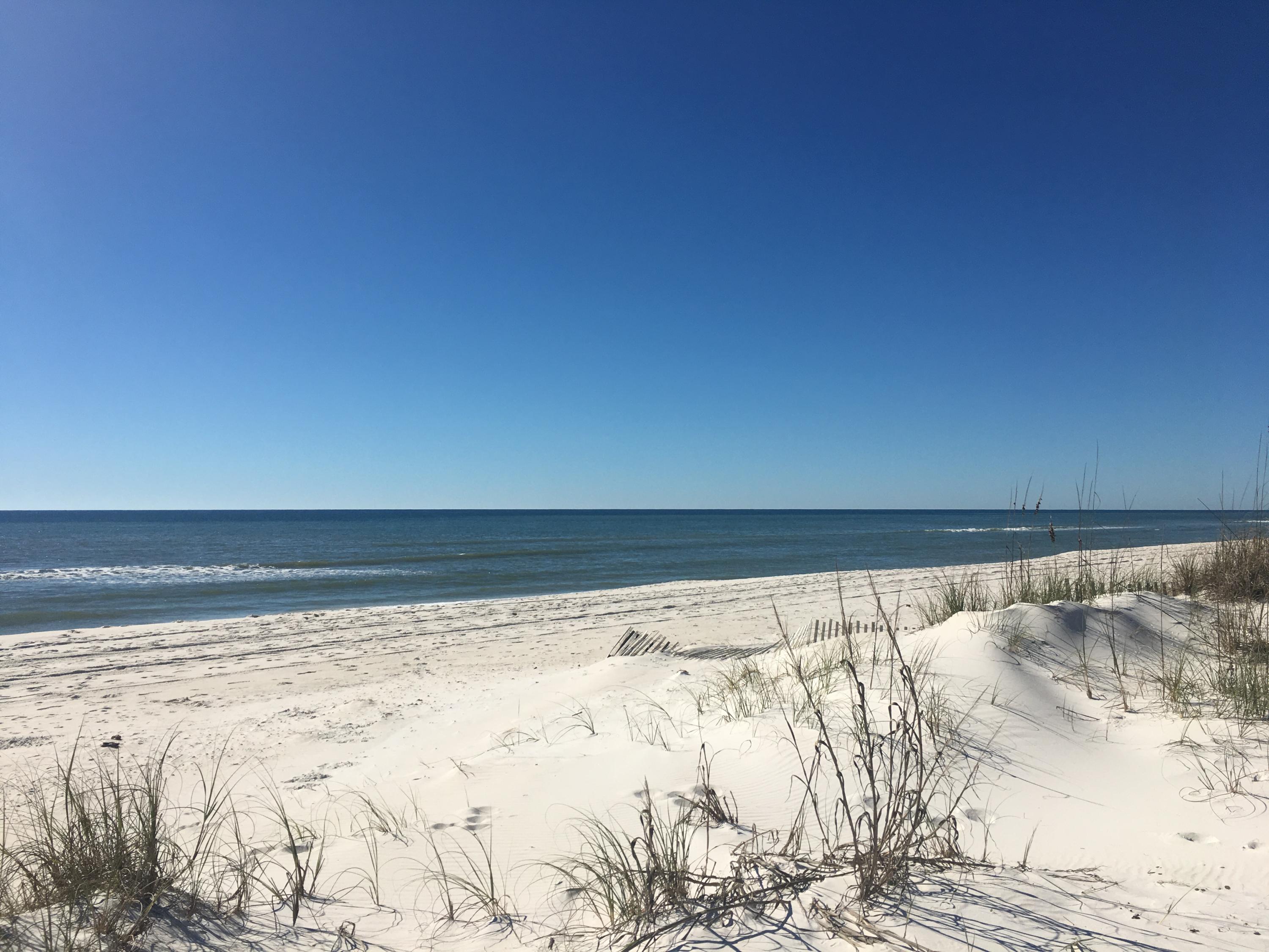 72 Walton Magnolia Ln Inlet Beach, Unit 2/C Inlet Beach, FL 32461 - Photo 26 of 32 Gulf Front in Inlet Beach