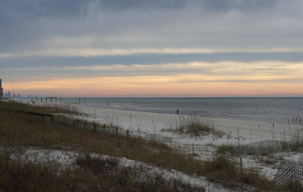 72 Walton Magnolia Ln Inlet Beach, Unit 2/C Inlet Beach, FL 32461 - Photo 30 of 32 Gulf Front in Inlet Beach