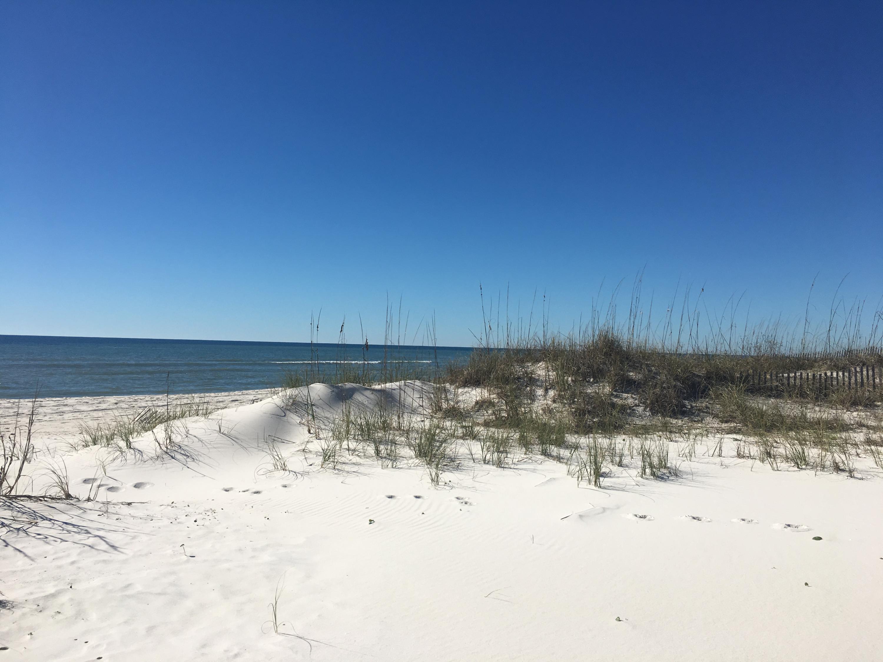 Gulf Front in Inlet Beach