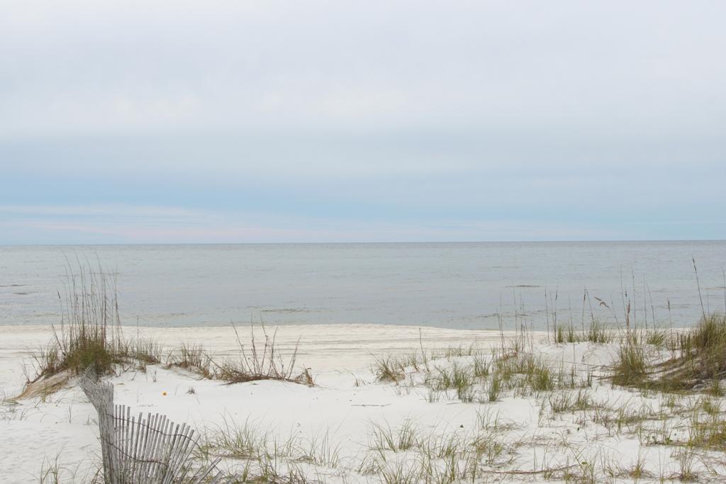 72 Walton Magnolia Ln Inlet Beach, Unit 2/C Inlet Beach, FL 32461 - Photo 31 of 32 Gulf Front in Inlet Beach