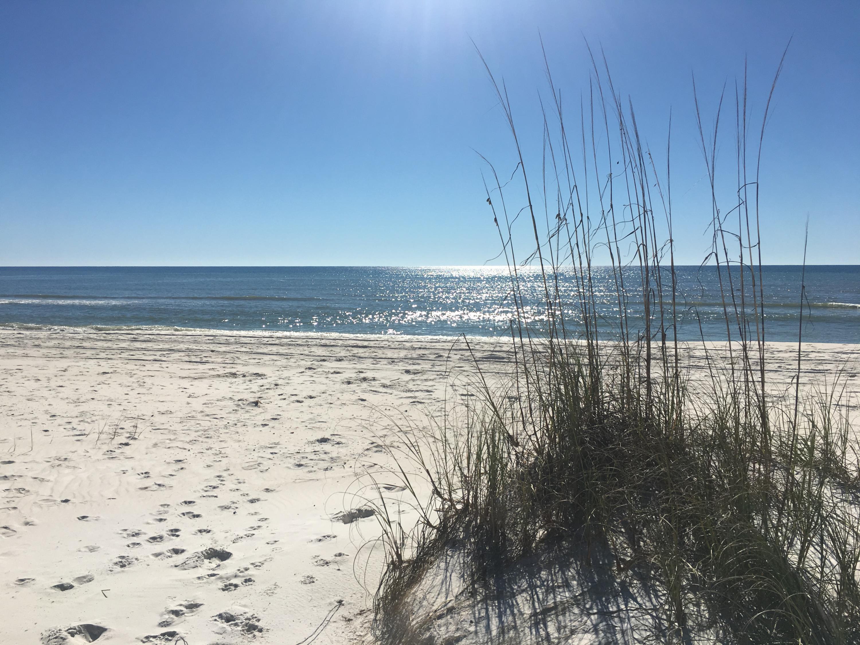 Gulf Front in Inlet Beach