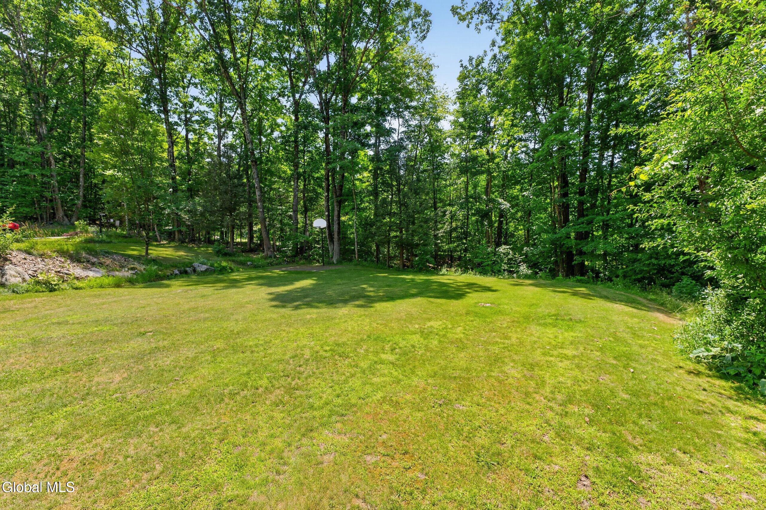 25 Hawthorne Hill Road Brainard, NY 12024 - Photo 59 of 62 Photo64
