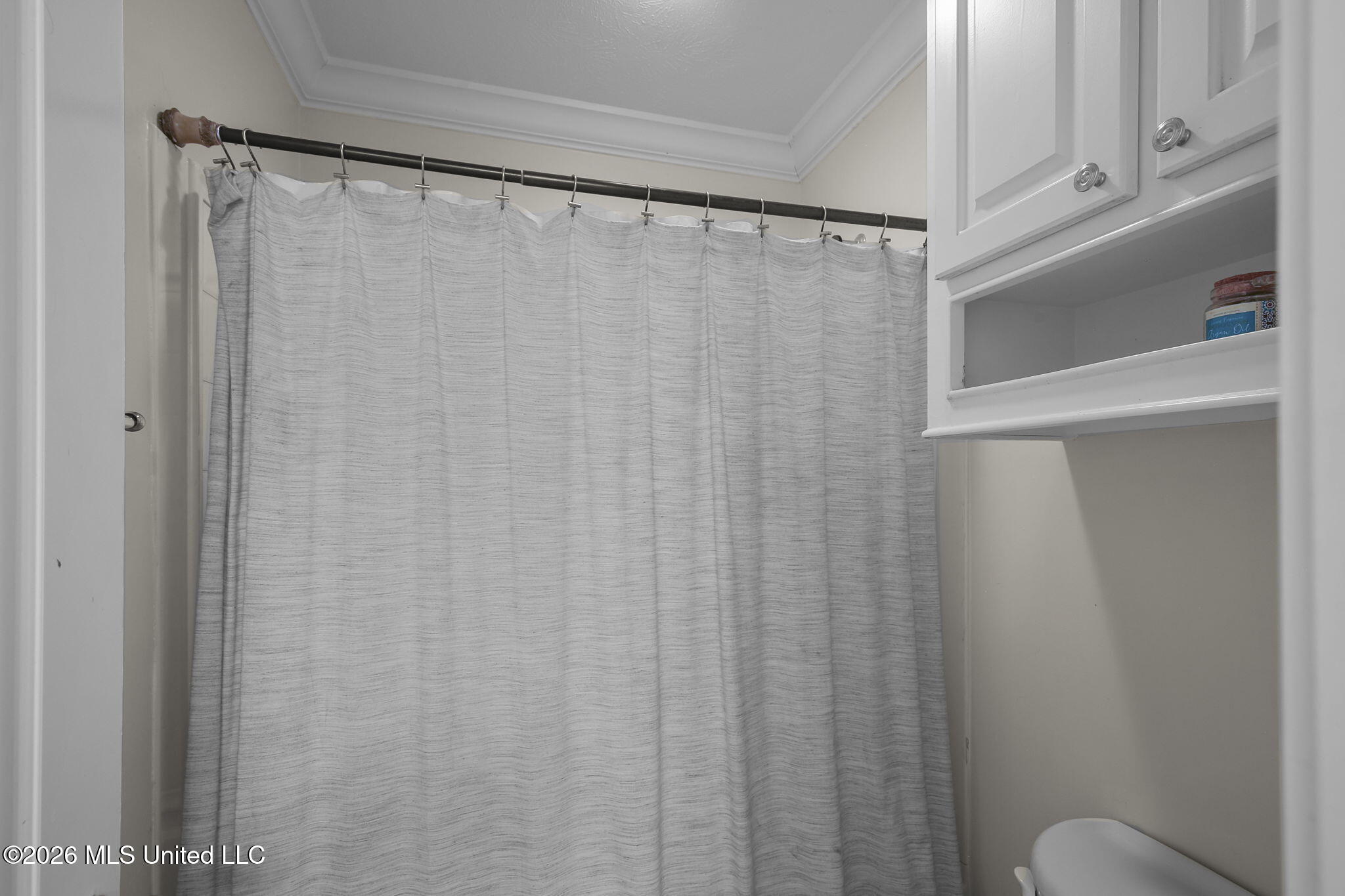 1058 Ridgeside Drive Brandon, MS 39042 - Photo 48 of 101 61-web-or-mls-1058 Ridgeside-61