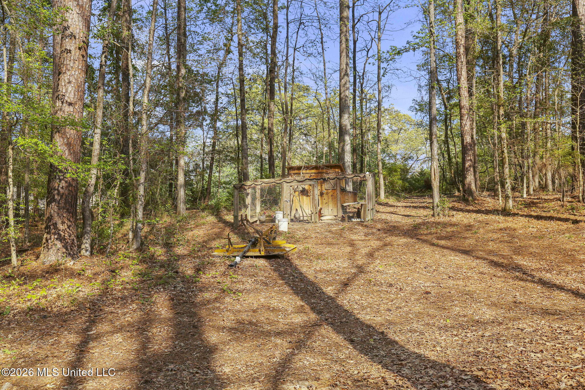 1058 Ridgeside Drive Brandon, MS 39042 - Photo 74 of 101 87-web-or-mls-1058 Ridgeside-87