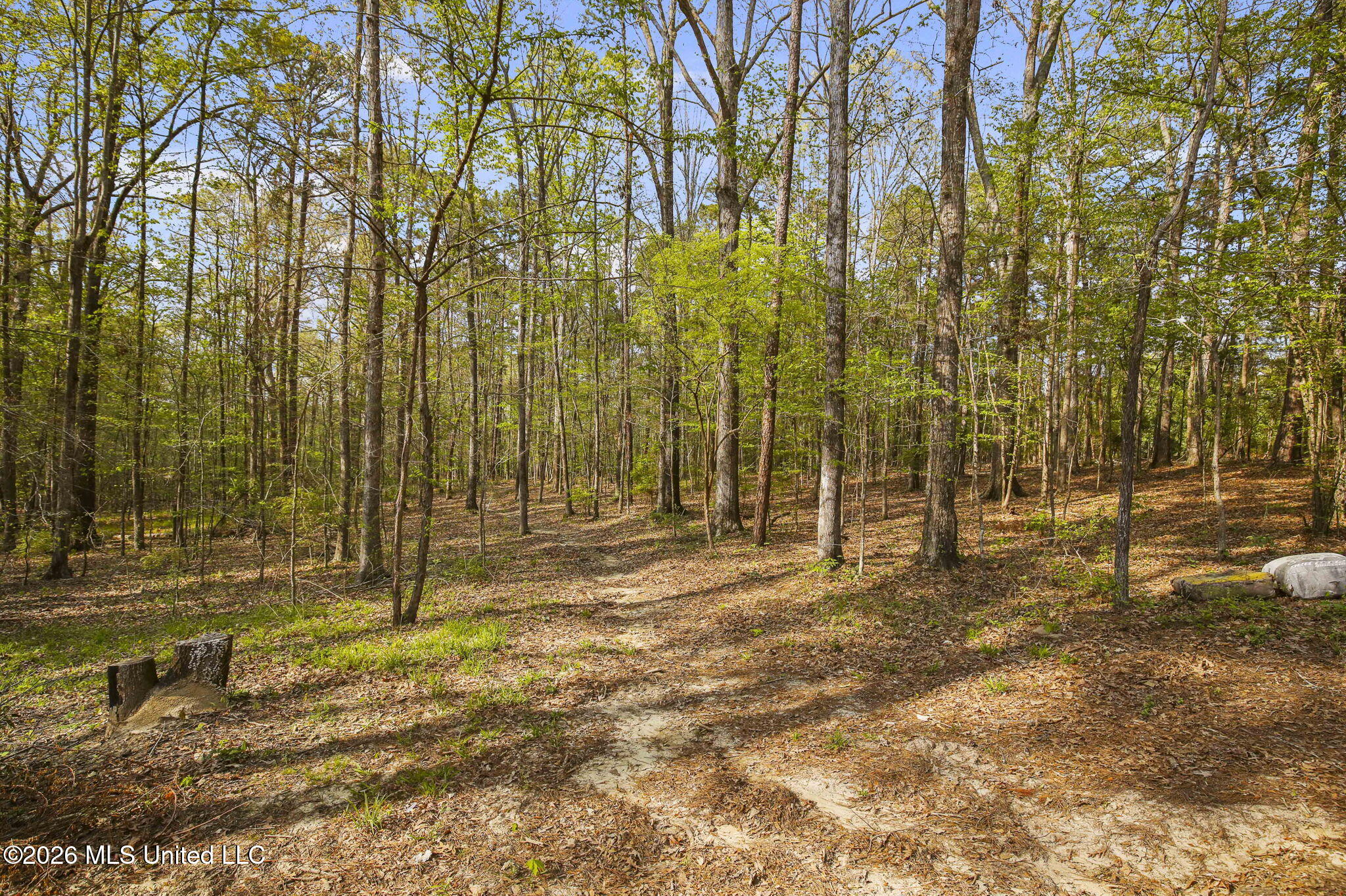1058 Ridgeside Drive Brandon, MS 39042 - Photo 75 of 101 88-web-or-mls-1058 Ridgeside-88