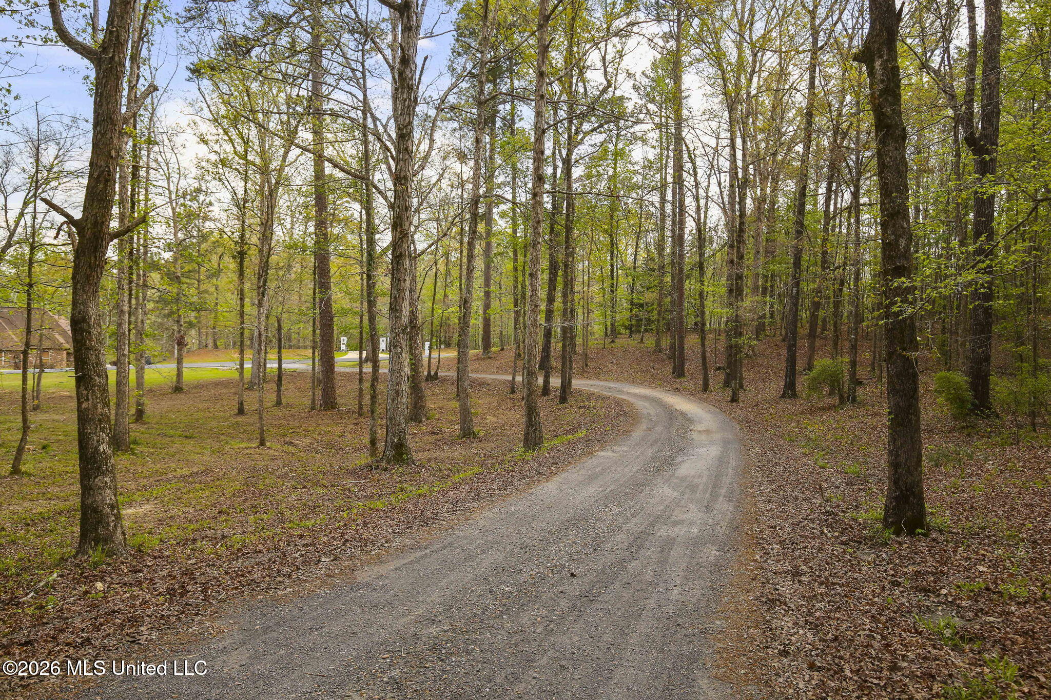 1058 Ridgeside Drive Brandon, MS 39042 - Photo 94 of 101 6-web-or-mls-1058 Ridgeside-6