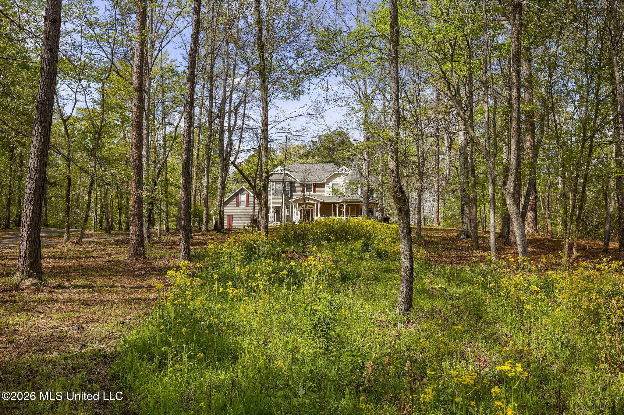 1058 Ridgeside Drive Brandon, MS 39042 - Photo 95 of 101 4-web-or-mls-1058 Ridgeside-4