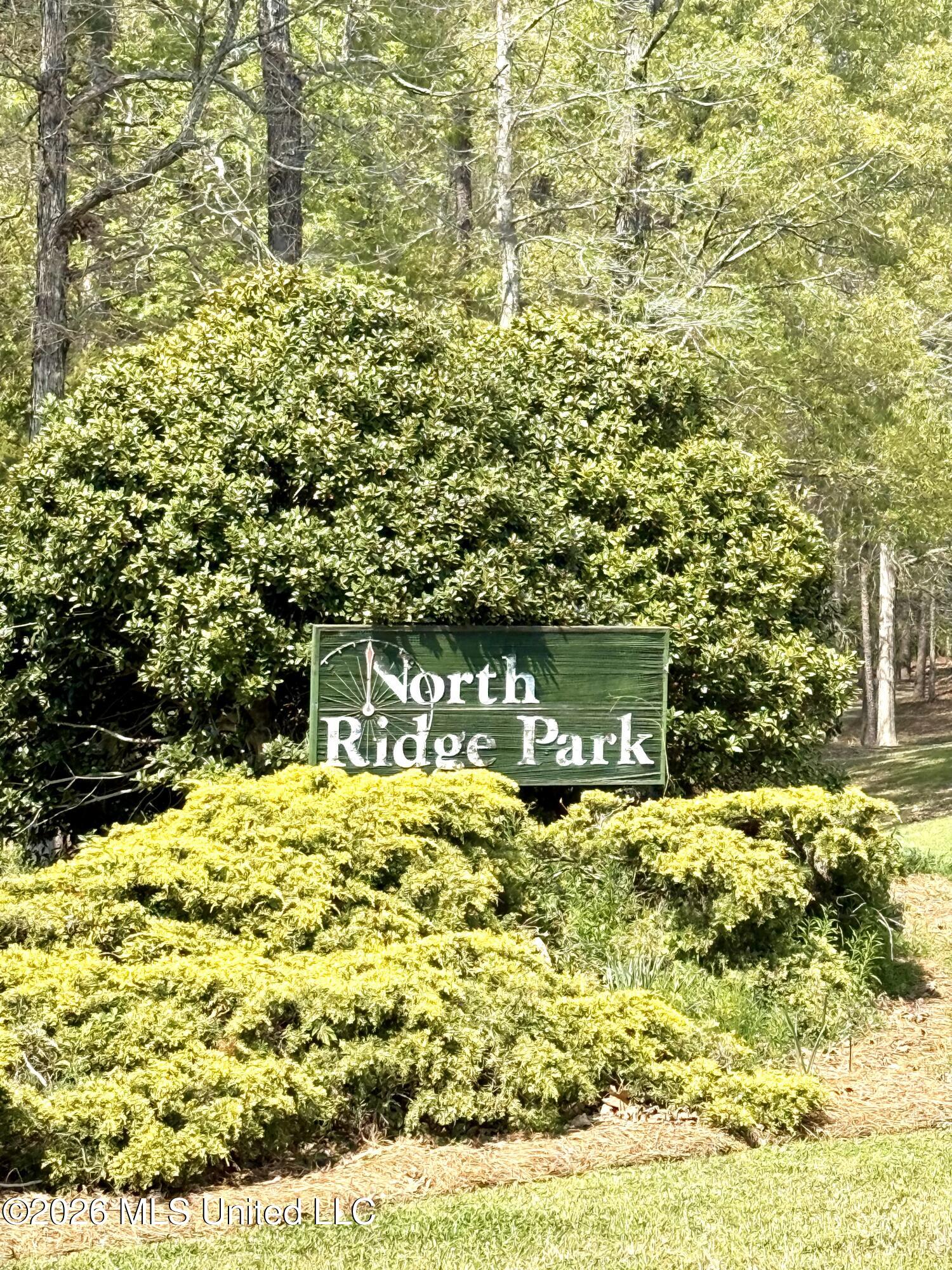 1058 Ridgeside Drive Brandon, MS 39042 - Photo 99 of 101 Photo Mar 25 2026, 2 33 05 PM