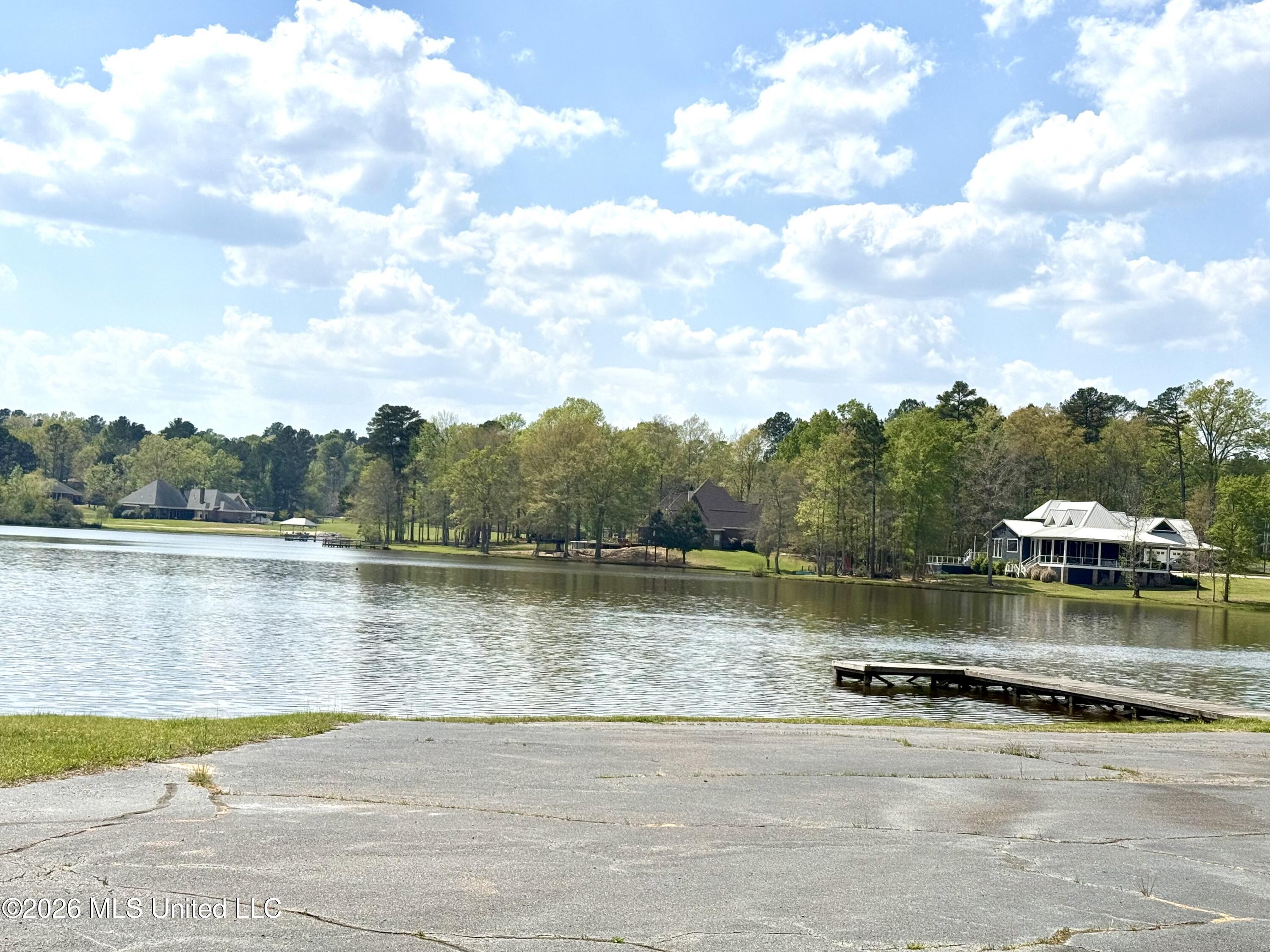 1058 Ridgeside Drive Brandon, MS 39042 - Photo 100 of 101 North Brandon Ridge stocked lake