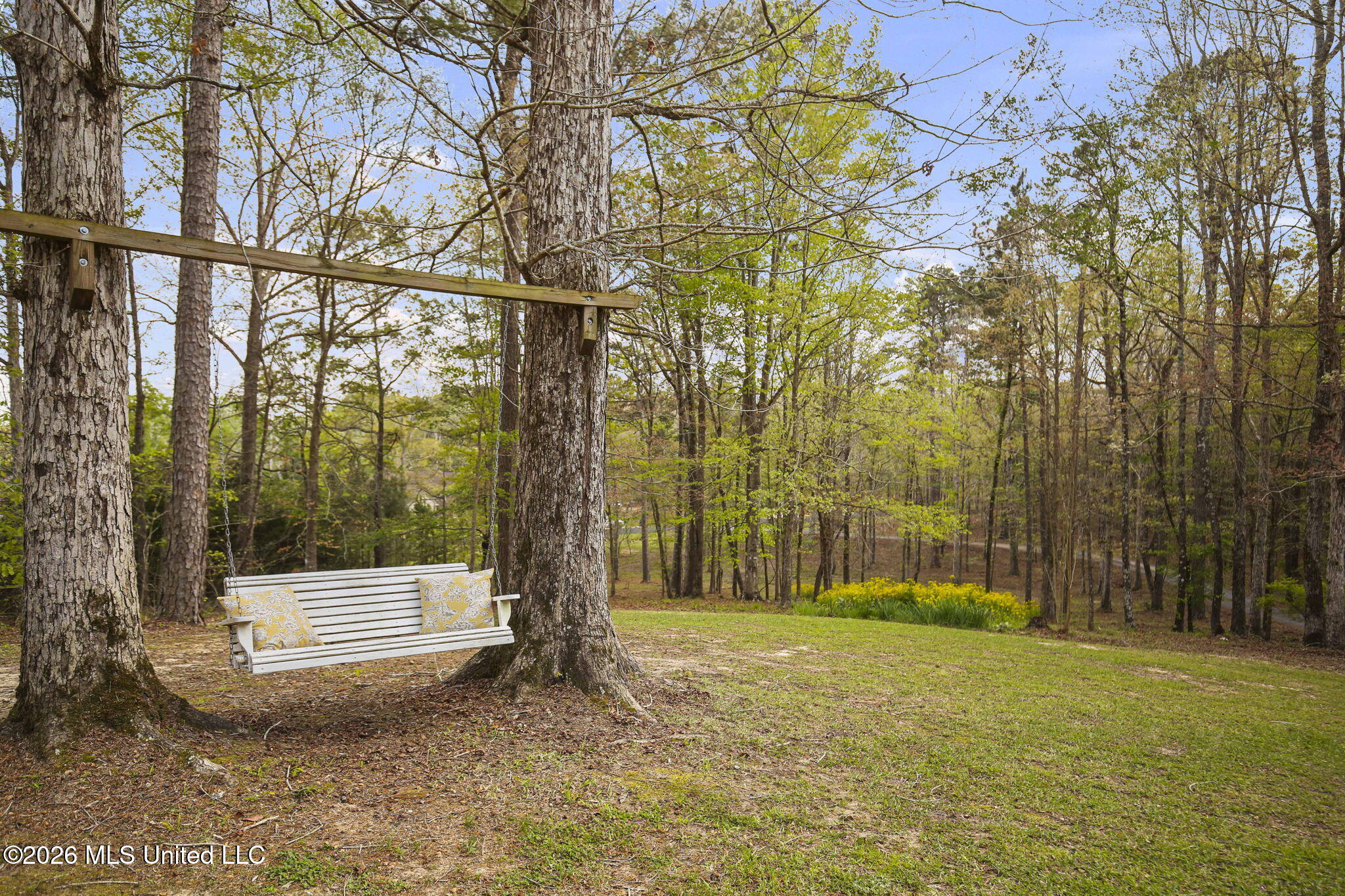 1058 Ridgeside Drive Brandon, MS 39042 - Photo 10 of 101 19-web-or-mls-1058 Ridgeside-19