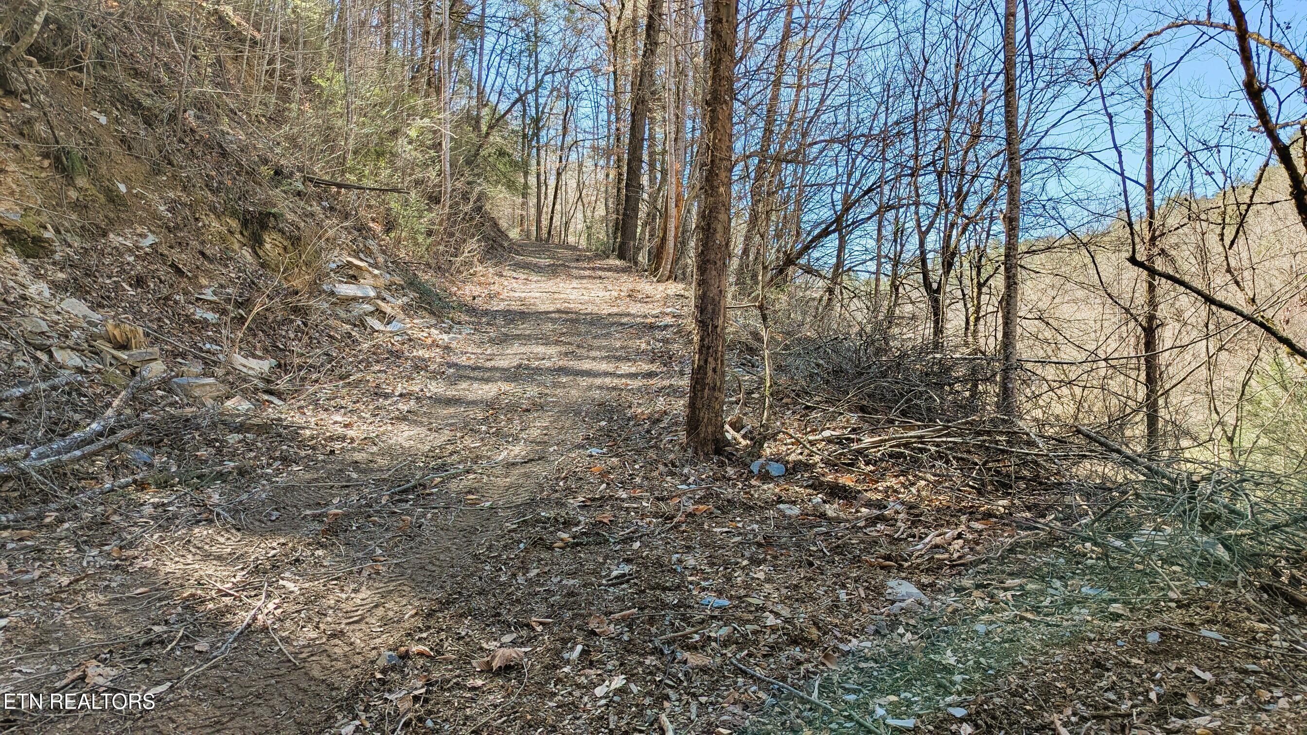 14 Acres Road Townsend, TN 37882 - Photo 13 of 13 Entrance Road Going Up