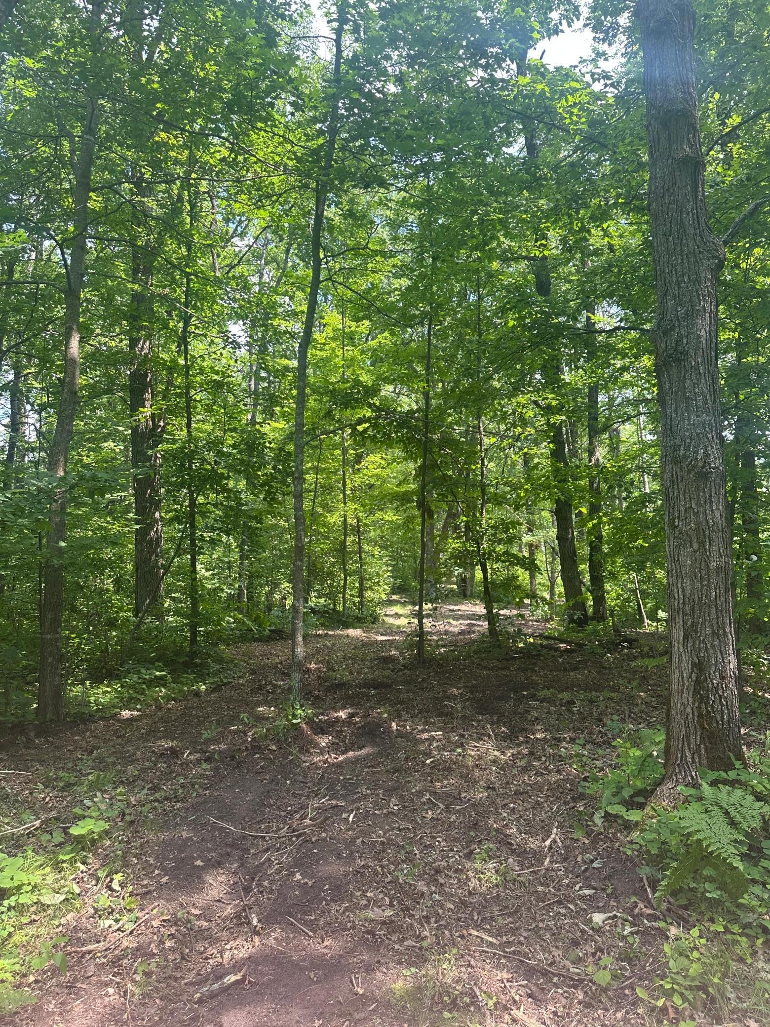 Tbd Tbd Olander Road Crosby, MN 56441 - Photo 11 of 22