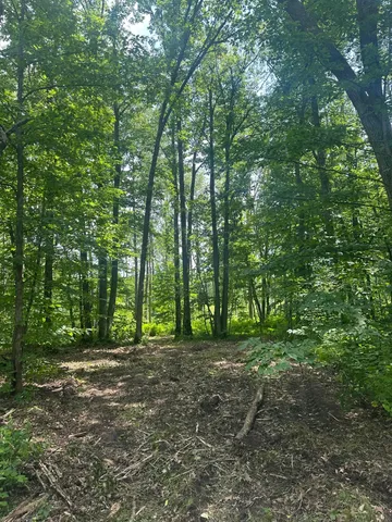 $310,000 | Tbd Tbd Olander Road, Crosby, MN 56441