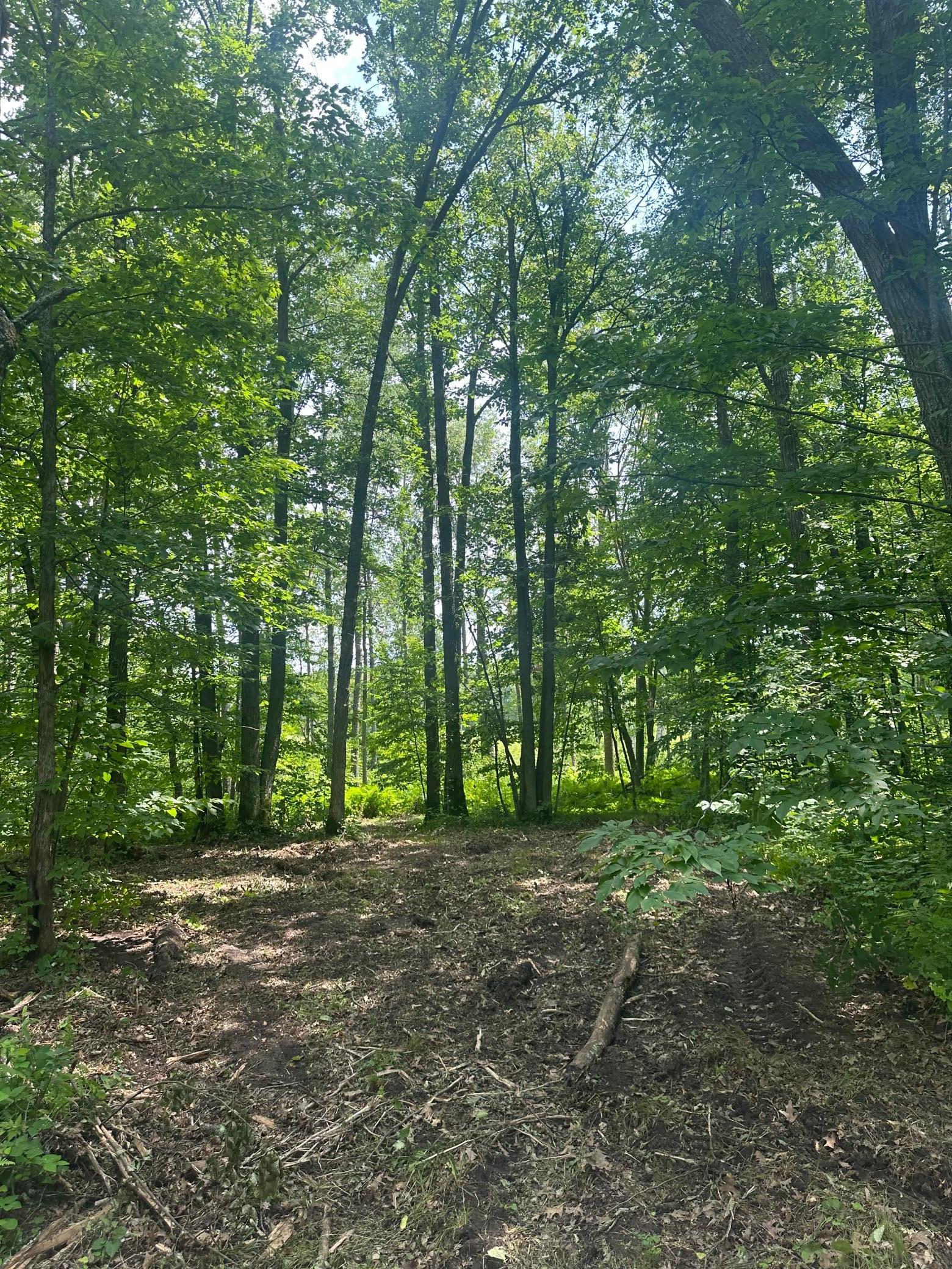 Tbd Tbd Olander Road Crosby, MN 56441 - Photo 12 of 22