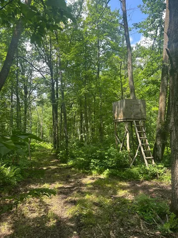 $310,000 | Tbd Tbd Olander Road, Crosby, MN 56441