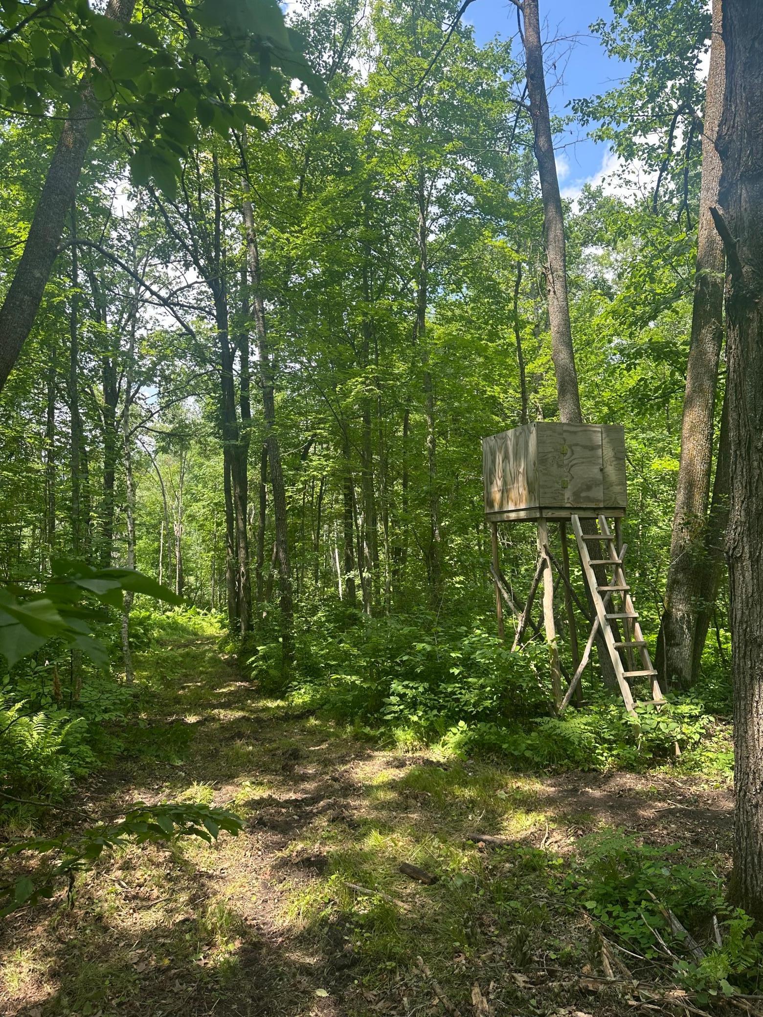 Tbd Tbd Olander Road Crosby, MN 56441 - Photo 13 of 22