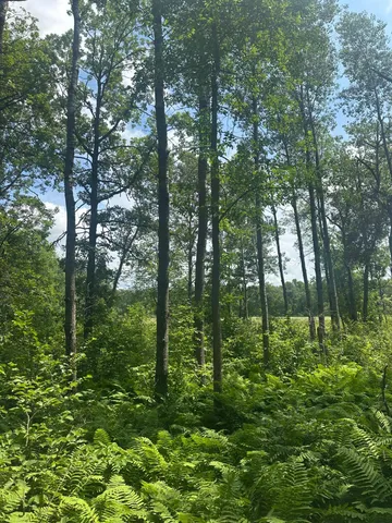 $310,000 | Tbd Tbd Olander Road, Crosby, MN 56441