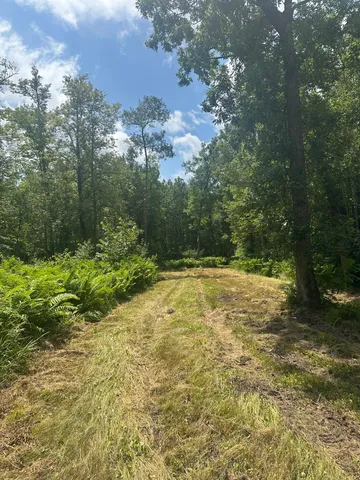 $310,000 | Tbd Tbd Olander Road, Crosby, MN 56441