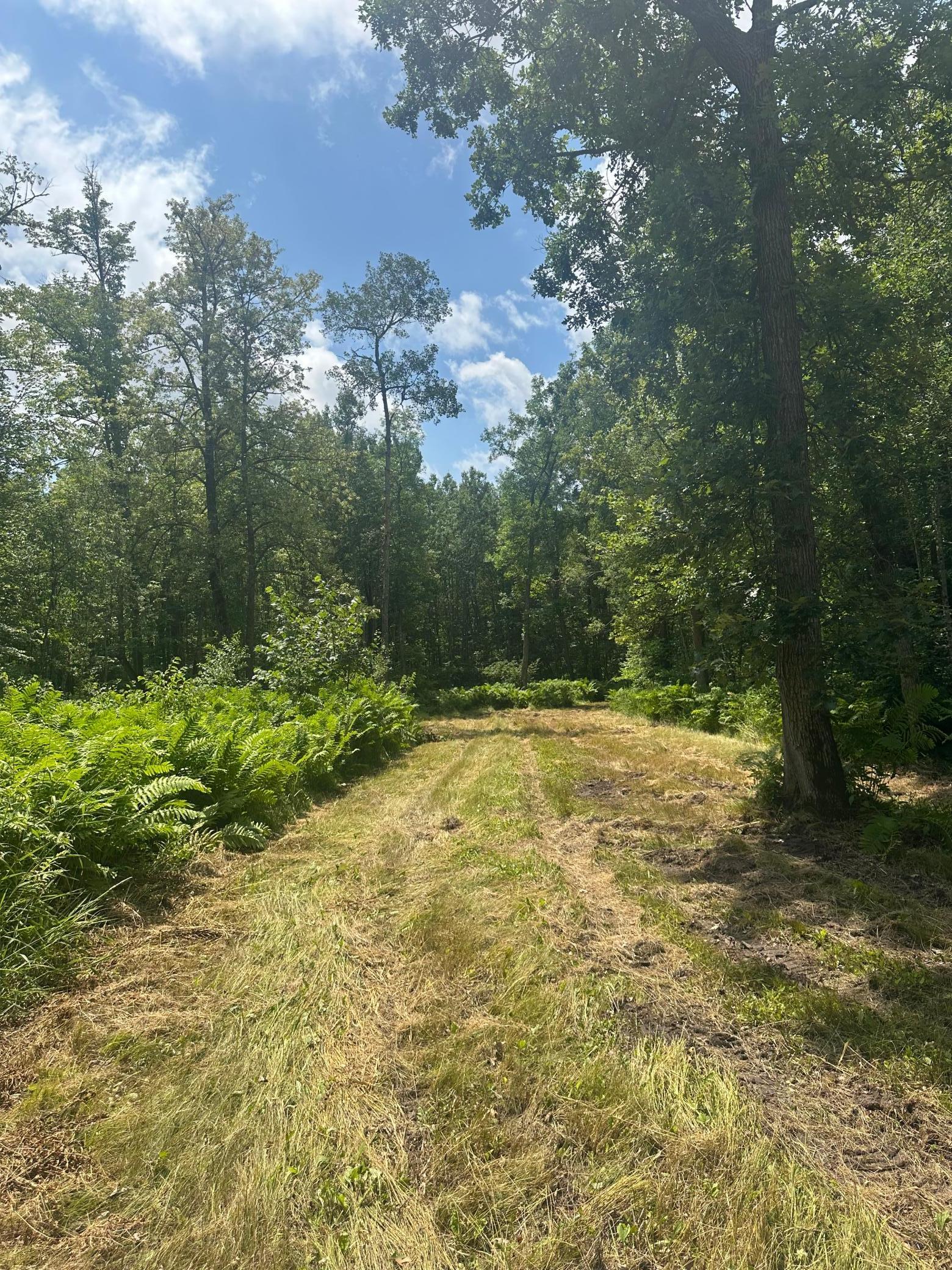 Tbd Tbd Olander Road Crosby, MN 56441 - Photo 15 of 22