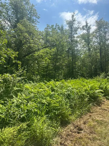$310,000 | Tbd Tbd Olander Road, Crosby, MN 56441