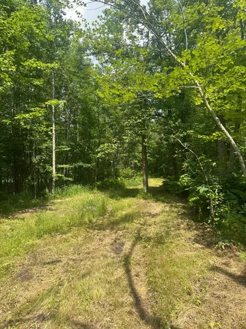 $310,000 | Tbd Tbd Olander Road, Crosby, MN 56441